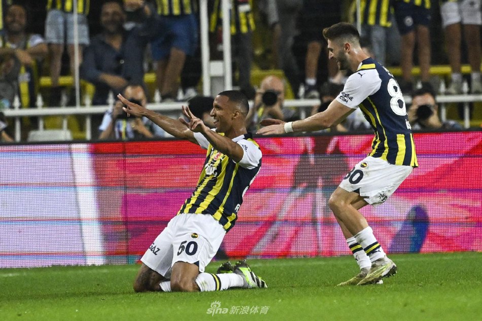 的组织才能 的组织才能